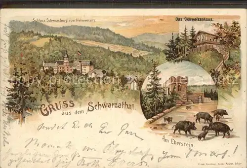 Schwarzatal Schweizerhaus Am Eberstein Schloss Schwarzenburg  Kat. Rudolstadt