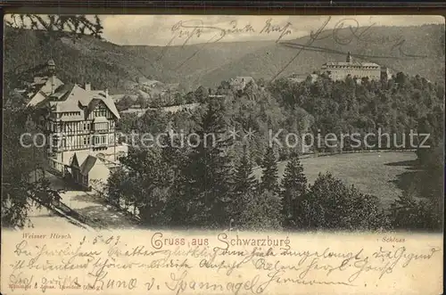 Schwarzburg Thueringer Wald Gasthaus Weisser Hirsch mit Schloss Kat. Schwarzburg