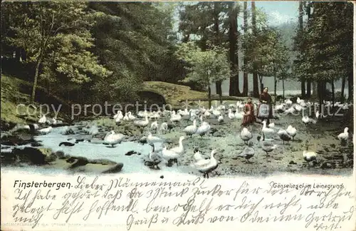 Finsterbergen Gaenseliesel im Leinagrund Kat. Finsterbergen Thueringer Wald