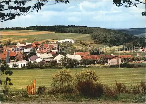 Bodenrod Gesamtansicht mit Familienlandheim der Heilandsgemeinde eV im Naturpark Hochtaunus Kat. Butzbach