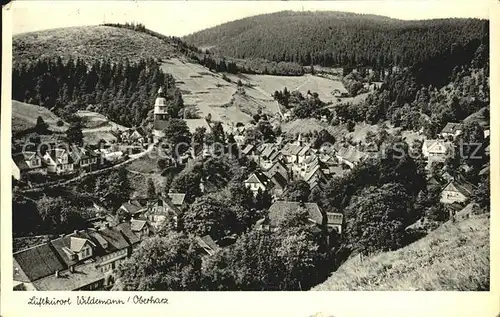 Wildemann Ortsansicht  Kat. Wildemann Harz