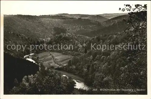 Treseburg Harz Wilhelmsblick Kat. Treseburg