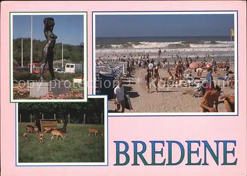 Bredene Strand Denkmal Wildpark Kat. 