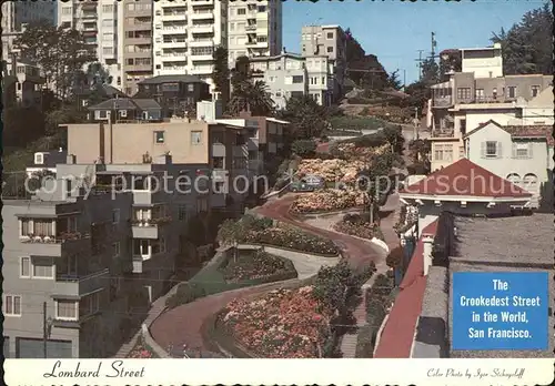 San Francisco California Lombard Street Kat. San Francisco