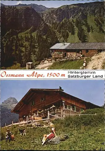 Hinterglemm Saalbach Ossmann Alpe