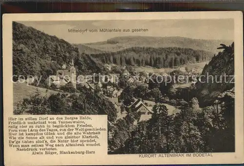 Altenbrak Harz Mitteldorf vom Muehlentale aus gesehen Kat. Altenbrak