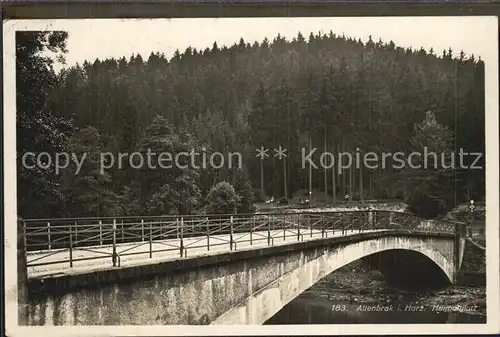 Altenbrak Harz Heimatplatz Kat. Altenbrak