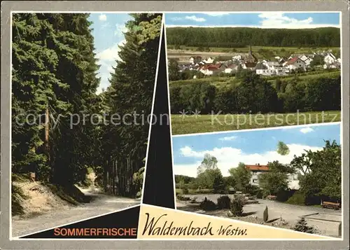 Waldernbach Panorama Waldweg Teilansicht Kat. Mengerskirchen