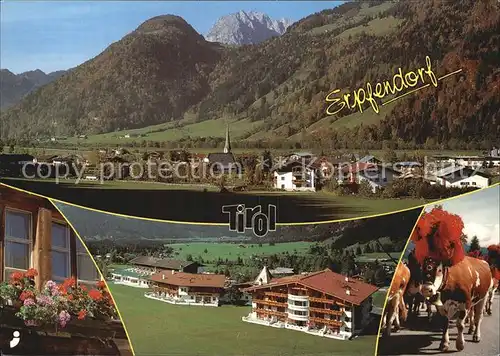 Erpfendorf Panorama Hotel Almabtrieb Kat. Kirchdorf in Tirol