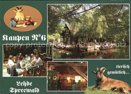 Lehde Spreewald Gasthaus Kaupen No 6 Terrasse Gaststube Bootspartien Kat. Luebbenau Spreewald