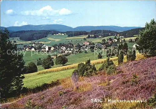 Saig Schwarzwald Hochschwarzwald Panorama Kat. Lenzkirch