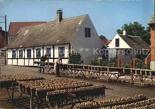 Bornholm Aarsdale Rogeri Kat. Daenemark