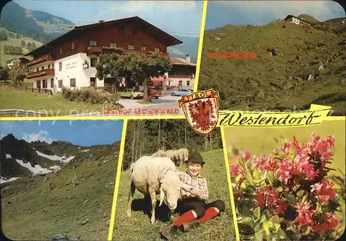 Westendorf Tirol Gasthaus Aschenwald Kat. Westendorf