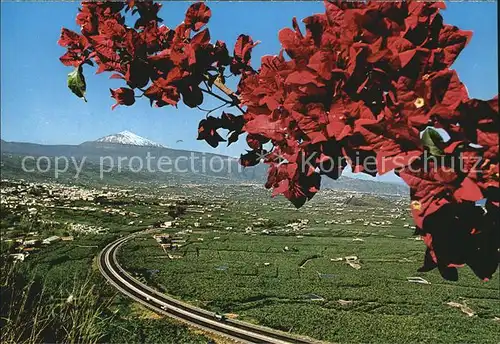 La Orotava Vista del Valle Autopista del Norte y Teide Kat. Islas Canarias Spanien