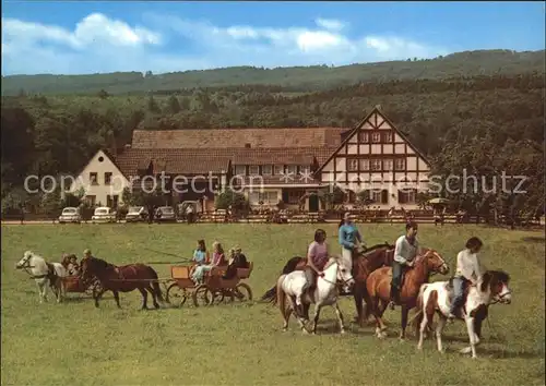 Ruedesheim Rhein Landgut Ebental Reiten und Fahren Kat. Ruedesheim am Rhein