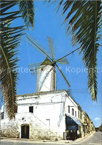 Ciudadela Tipico molino Kat. Ciudadela Menorca