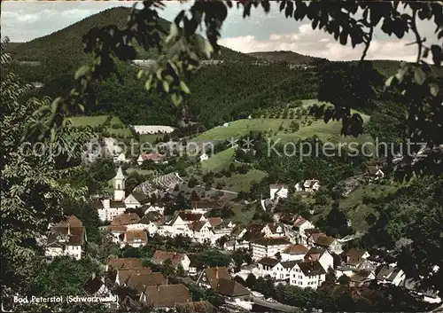 Bad Peterstal Griesbach Panorama  Kat. Bad Peterstal Griesbach