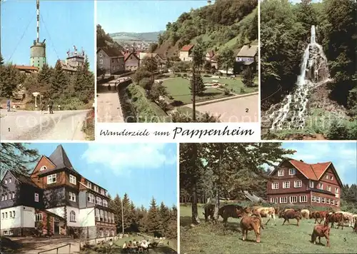 Pappenheim Thueringen Wanderziele Inselsberg Spiessberghaus Trusetaler Wasserfall Kat. Floh Seligenthal