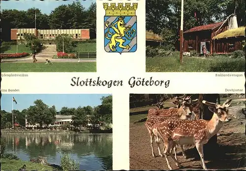 Goeteborg Slottskogen Bjoerngarsvillan Smalandsstugan Vita Bandet Dohjortar Kat. 