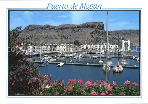 Puerto de Mogan Panorama