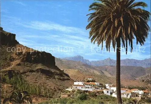 Gran Canaria Fataga Kat. Spanien