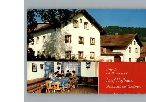 Haselbach Wald Bauernhof Josef Hofbauer / Grafenau /Freyung-Grafenau LKR