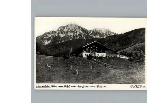 Piding Neubichler-Alm Hoegl Stauffen Zwiesel / Piding /Berchtesgadener Land LKR