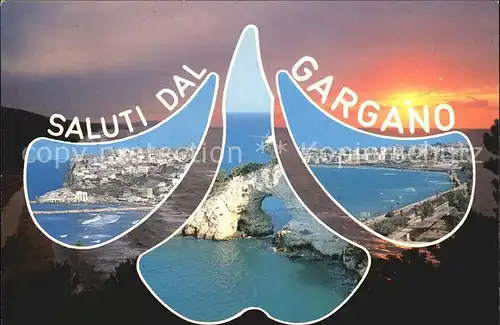 Gargano Gesamtansicht mit Bucht / Italien /Italien