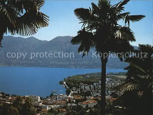 Locarno Lago Maggiore Muralto Visto da Orselina