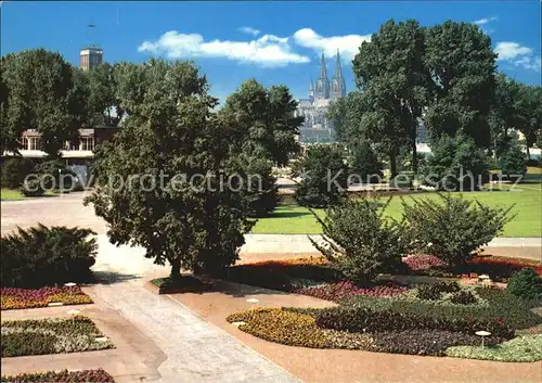 Koeln Rhein Rheinpark Kat. Koeln