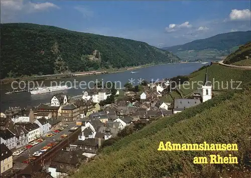 Assmannshausen Panorama