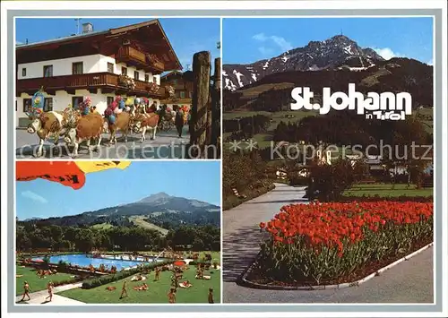 St Johann Tirol Almabtrieb Kurpromenade Freibad Kat. St. Johann in Tirol