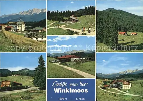 Winklmoos Winkelmoos Panorama Ausflugsziel Winklmoosalm Wandern Kat. Reit im Winkl