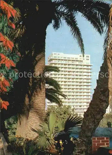 Puerto de la Cruz Palmen Hochhaus Kat. Puerto de la Cruz Tenerife