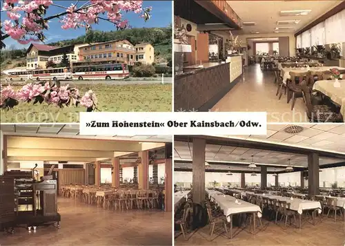 Ober Kainsbach Gasthaus Cafe Pension Zum Hohenstein Saal Restaurant Baumbluete Kat. Reichelsheim (Odenwald)