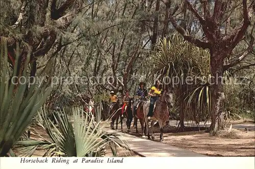 Nassau Bahamas Horseback Riding at Paradise Island