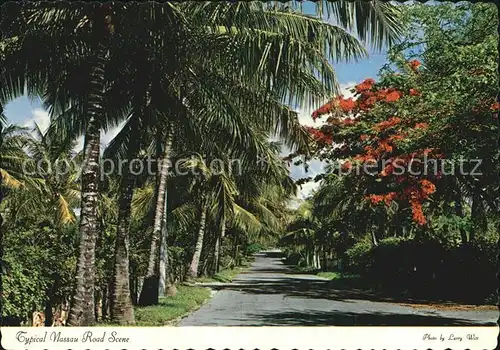 Nassau Bahamas Typical Road Scene