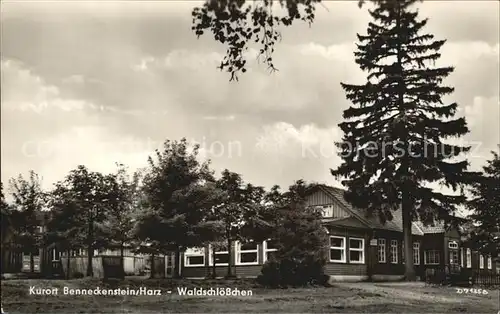 Benneckenstein Harz Waldschloesschen