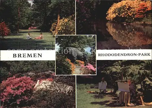 Bremen Rhododendron Park Kat. Bremen