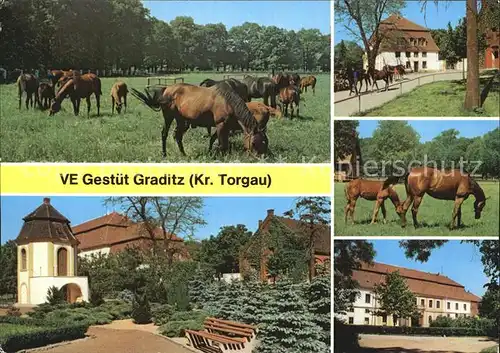 Graditz VE Gestuet Kat. Torgau