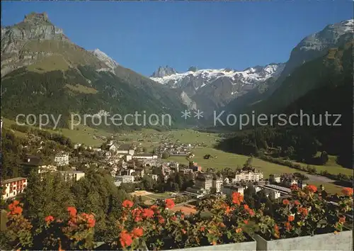 Engelberg OW Hahnen Spannoerter Kat. Engelberg