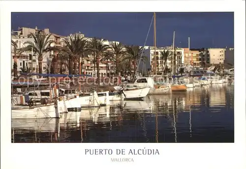 Mallorca Puerto de Alcudia Kat. Spanien