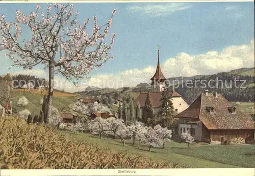 Steffisburg Kirche Panorama Kat. Steffisburg