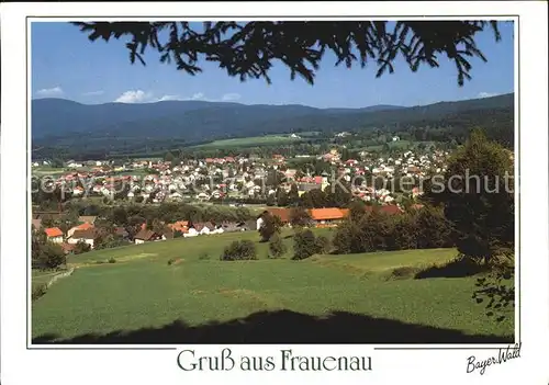 Frauenau Panorama Kat. Frauenau