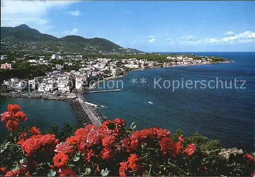 Ischia Panorama Kat. 