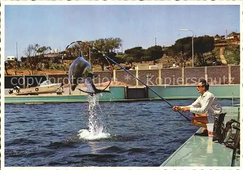 Port Elizabeth Southafrica Ozeanium Delfinvorfuehrung Kat. Port Elizabeth