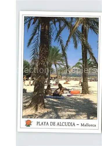 Alcudia Mallorca Playa Strand Palmen Kat. Spanien