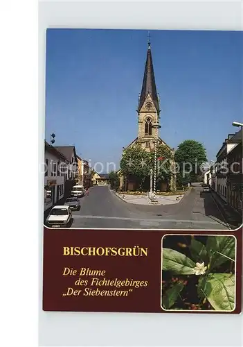 Bischofsgruen Kirche Siebenstern Blume Kat. Bischofsgruen