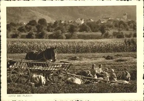 Flaesch GR Landwirtschaft Picknick mit Pferd / Flaesch /Bz. Landquart