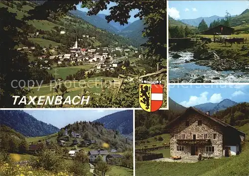 Taxenbach mit Eschenau Ziegelhuette und Oberhausalm Kat. Taxenbach